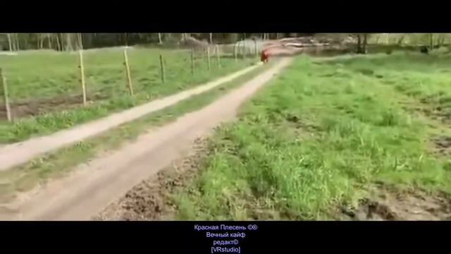 Красная Плесень-Вечный кайф-редакт©[VRstudio].mp4 смотреть онлайн