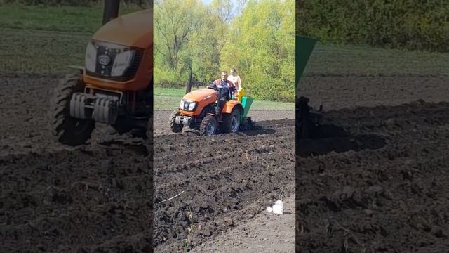 Посадка картофеля минитрактором кентавр 244 про смотреть онлайн