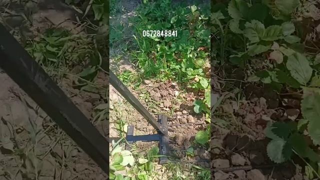 чудо лопата 4в1. Пересадка клубники.