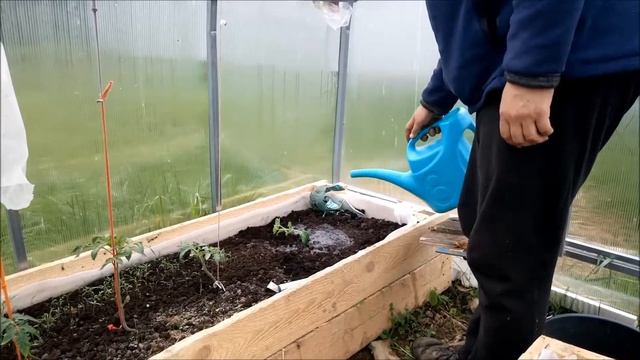 Арбузы на грядке смотреть онлайн