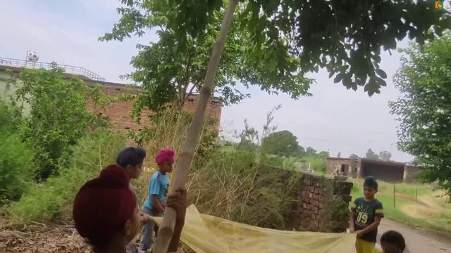 Homemade mini tractor trolley fully Loaded with black Jamun | смотреть онлайн