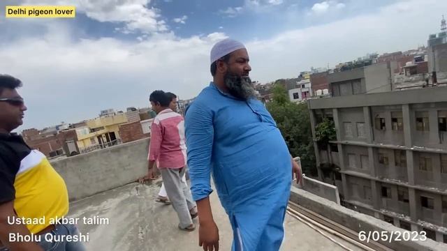 Bholu Qureshi ka shok 😳1000 patiyale new kabutar ki Zabardast ladaiyya 😱 1540 kabutar ka record смотреть онлайн