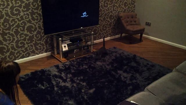 Котопес Денди смотреть онлайн