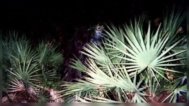 5 Strange & Unexplained Mysteries Of The World смотреть онлайн
