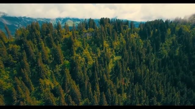 ХОЧУ ОЖИВИТЬСЯ НО НЕ ХОЧУ УЧИТЬСЯ или ВОЗЬМИТЕ ВОЖЖИ ОТ МОЕЙ ПЕРСОНЫ 2020.12.03 Сургут смотреть онлайн