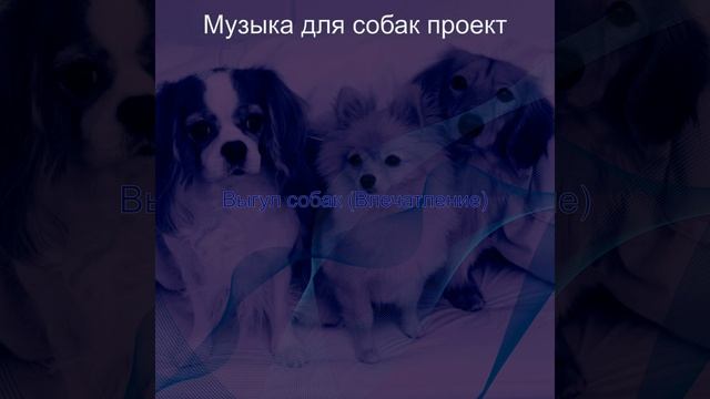 Мечты (Одинокие собаки) смотреть онлайн