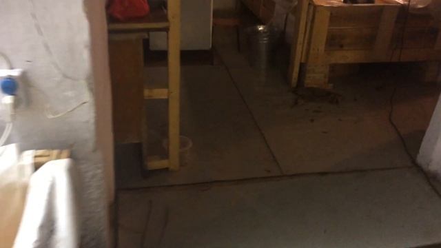Разведение Австралийского Красноклешневого рака. Зима закончилась. Самки скидывают малька. смотреть онлайн