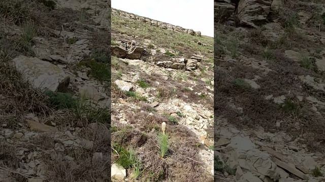 17 апреля 2024 г. смотреть онлайн