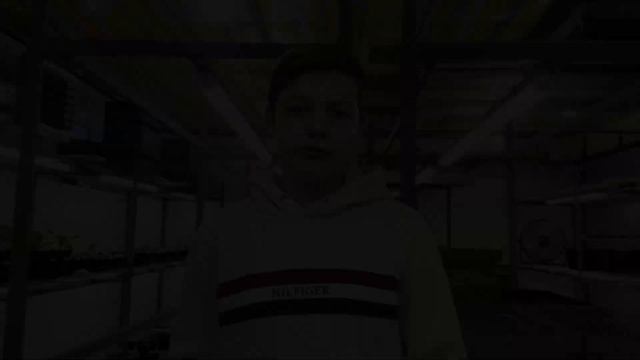 Как вырастить 35000 тюльпанов в гараже? @Flovers_vsem