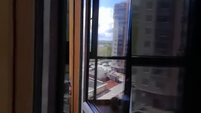 Приморский пр. 137 смотреть онлайн