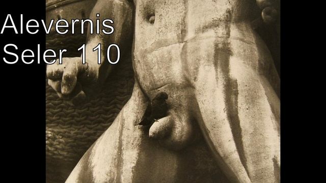 Alevernis Seler 110 смотреть онлайн