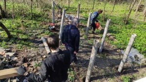 столбчатый фундамент под сарай