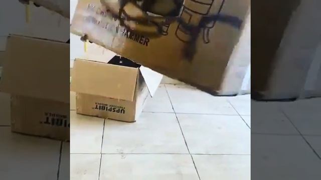 تست کارواش смотреть онлайн