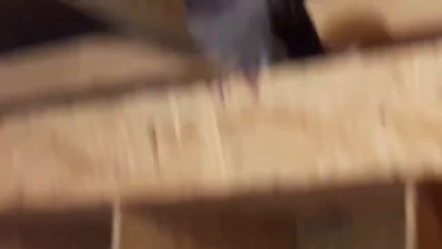 Porumbei lui Mihai Povh partea 2 / Спортивные Голуби Миши Повх смотреть онлайн