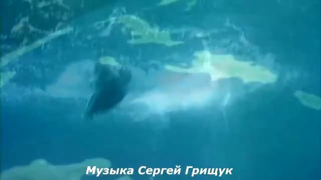 МУЗЫКА ДЛЯ ДУШИ смотреть онлайн