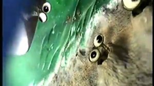 Реклама Туалетный утенок 2010