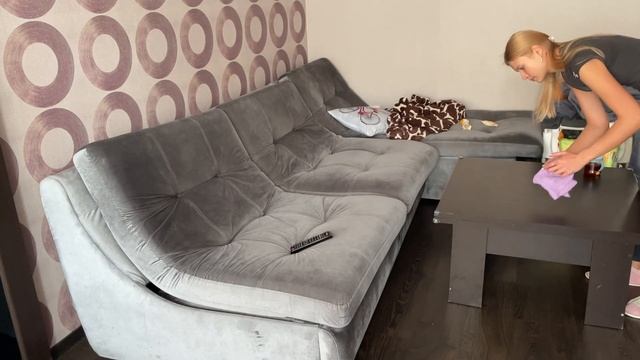 ЕЖЕДНЕВНАЯ УБОРКА В КВАРТИРЕ | ЕДЕМ НА ДОМ | ДЕЛА НА ДОМЕ