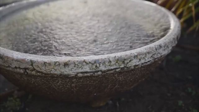 Light rain in a fountain sounds | Fall asleep fast смотреть онлайн