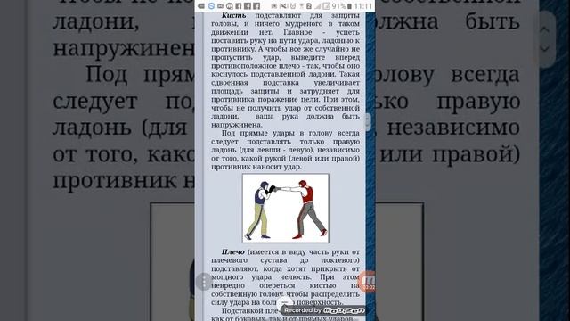 Шахматы 11 января 2019 г.(1) смотреть онлайн