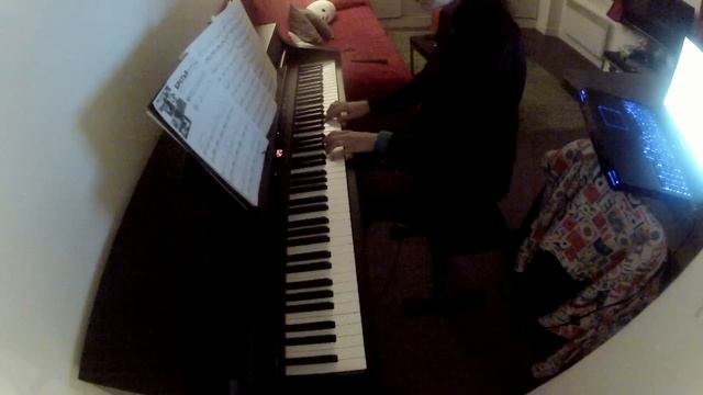 Братья (Brothers) - Full Metal Alchemist - Piano смотреть онлайн