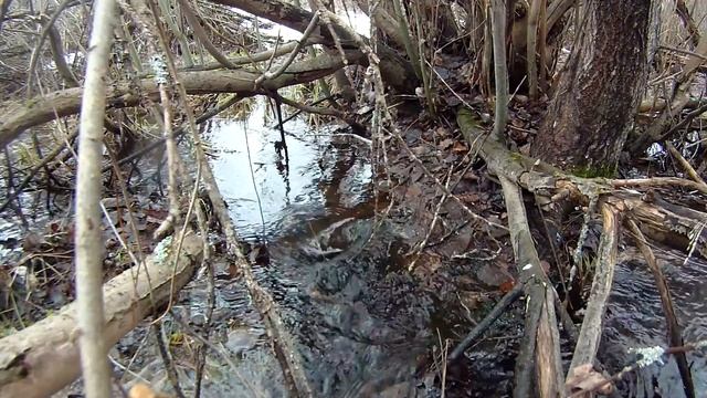 Звук весеннего ручья смотреть онлайн