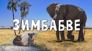 Слоновье царство Зимбабве... и каша из баобаба