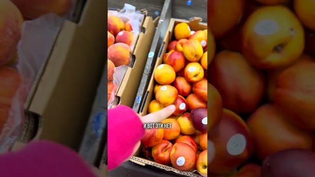 Продукты в Канаде | Обзор на продуктовый магазин в Канаде | Китайский магазин в Торонто