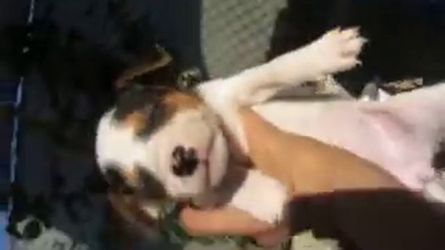 VIDEO MELISA 20 JUNIO