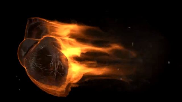 3ds max & FumeFX: Burning Heart Animation смотреть онлайн