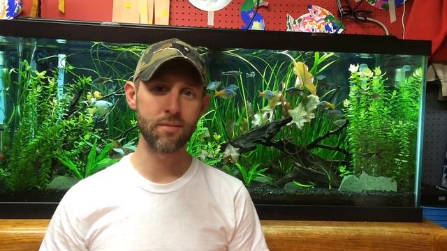 Fish Keeping Screw Ups: Episode 2, Filter Maintenance смотреть онлайн
