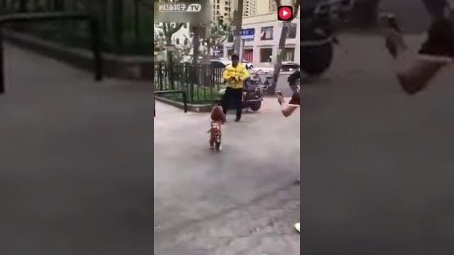 Ржу не могу!!!