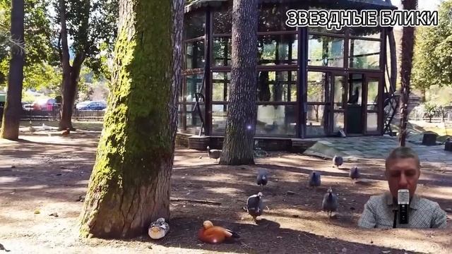 📗 «Ты мне изменила! Выметайся вон!» - заявил жених, выгоняя беременную невесту на улицу...