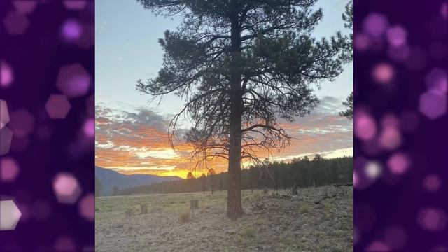 Sister Wives - Coyote Pass Update July 2021 смотреть онлайн
