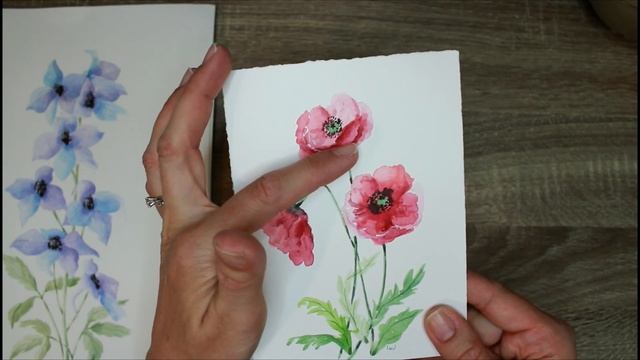 Birth Flowers Botanical Illustrations смотреть онлайн