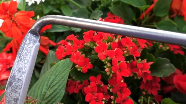 The world famous DeWit® Cape Cod Weeder смотреть онлайн