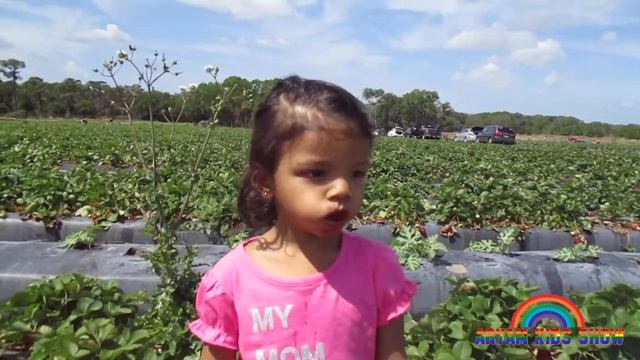 Outdoor Fun in Strawberry Pick Up Farm смотреть онлайн