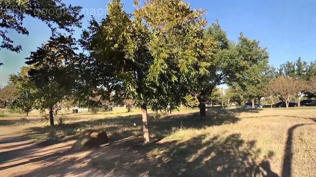 REALY 100 % I found giant spider on google maps смотреть онлайн