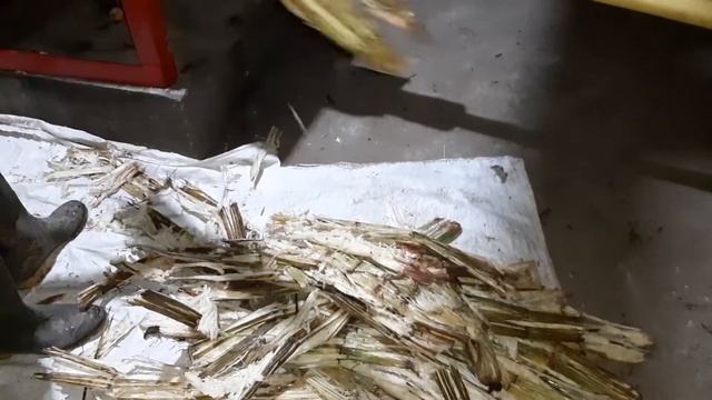 Funcionamiento del trapiche R4🌱☘ (Suscríbete porfa 🙏🏽) смотреть онлайн