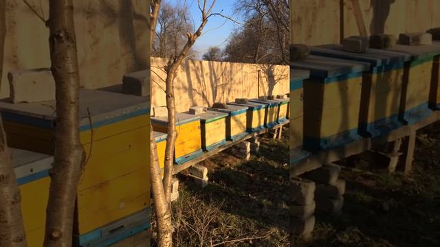 OSB улей смотреть онлайн