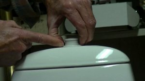 Ifo Cera or Aqua toilet tank lid removal