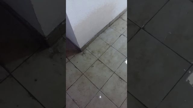 Осторожно!!!  Новый дом РЕНКАП строй.