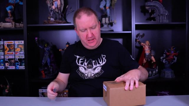 Bands 4 Arms Funko POP Mystery Boxes and Stranger Things MINIs ! смотреть онлайн