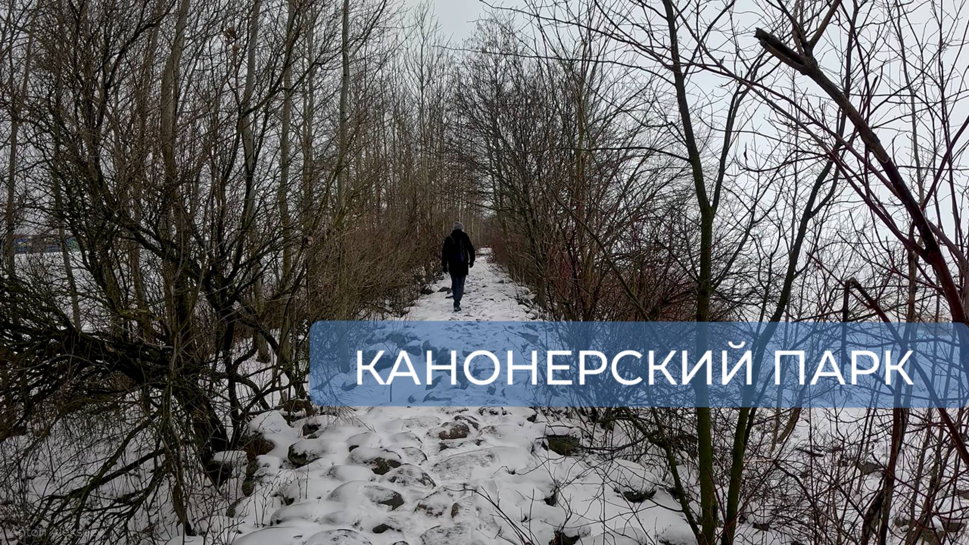 Канонерский парк. Санкт-Петербург (зима)