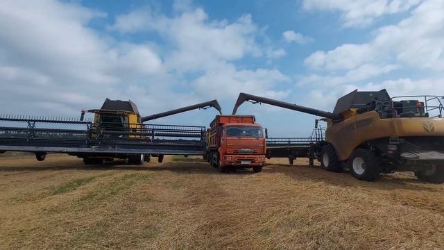 Уборка пшеницы! смотреть онлайн