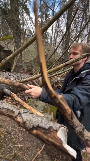 Что делать, если заблудился в лесу? Ищи дерево! смотреть онлайн