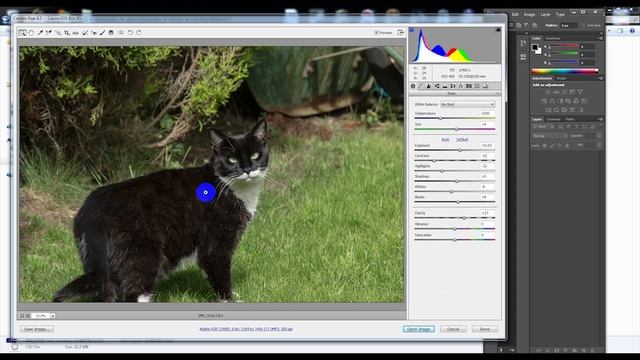How to use Camera RAW Part 1 смотреть онлайн