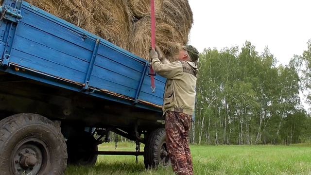 Как когда вывез последние рулоны сена в лес на тракторе ЮМЗ смотреть онлайн