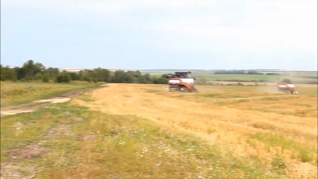 В Тетюшском районе стартовала уборочная кампания