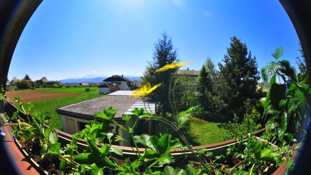 balkon-timelapse-29april.mp4 смотреть онлайн