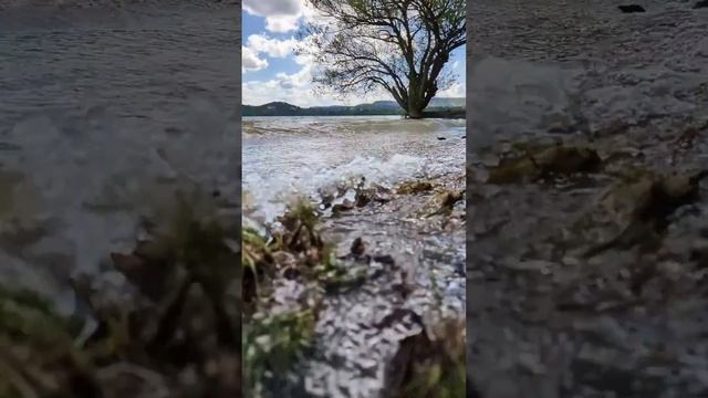 Пробежка Симферополь - Строгановка - Кесслерский лес - карьер "Лозовое" - городское водохранилище. смотреть онлайн